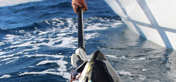 Comment choisir la bonne gaffe pour la pêche ? 